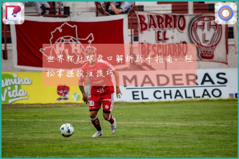 世界杯让球盘口解析新手指南，轻松掌握投注技巧