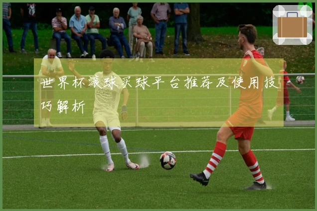 世界杯滚球买球平台推荐及使用技巧解析