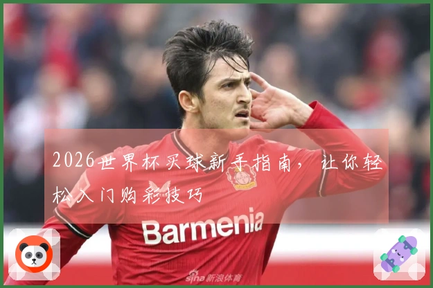 2026世界杯买球新手指南，让你轻松入门购彩技巧