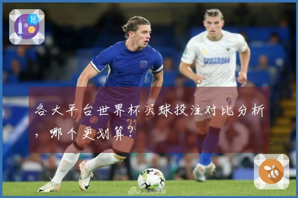 各大平台世界杯买球投注对比分析，哪个更划算？