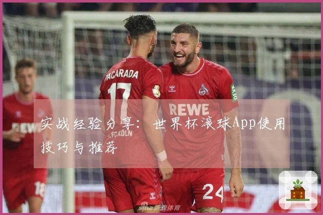 实战经验分享：世界杯滚球App使用技巧与推荐