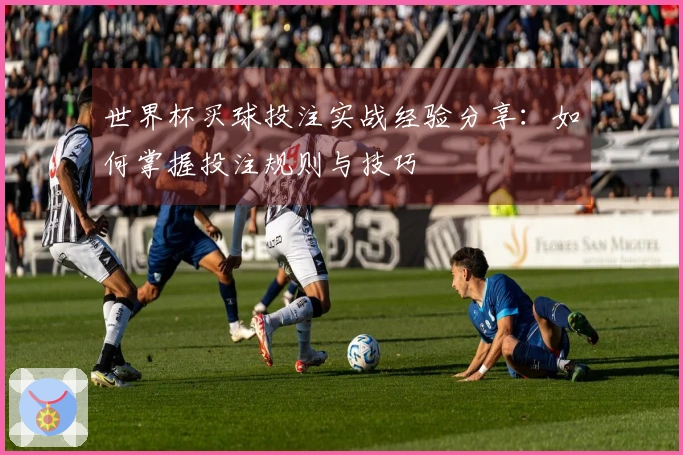 世界杯买球投注实战经验分享：如何掌握投注规则与技巧